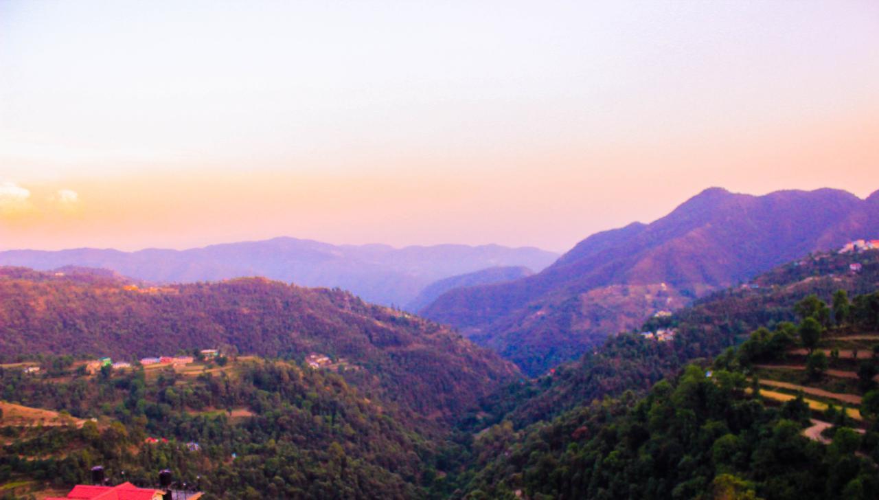 Jade Vine Resort Shimla Buitenkant foto
